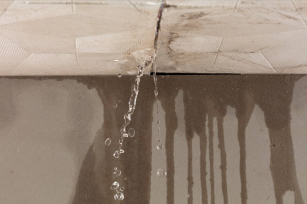 Professional Burst Pipe Cleanup technician working in Vinton, IA